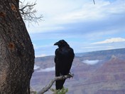 Grand Canyon National Park
