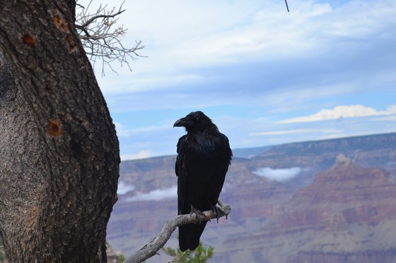 Grand Canyon National Park