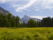 Yosemite National Park