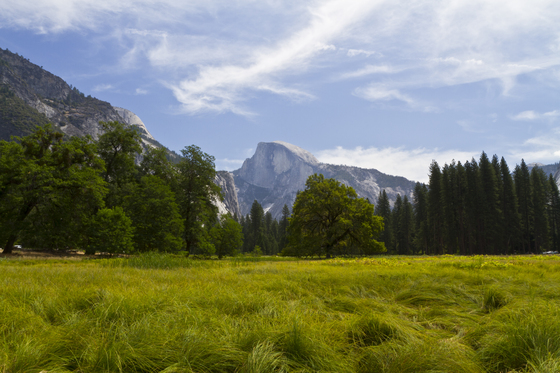 Yosemite National Park