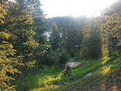 Sangre de Cristo Wilderness
