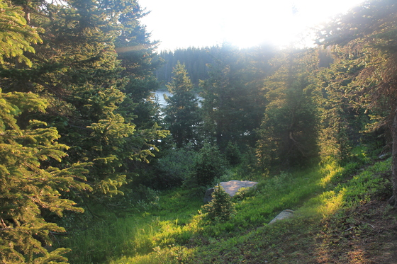 Sangre de Cristo Wilderness