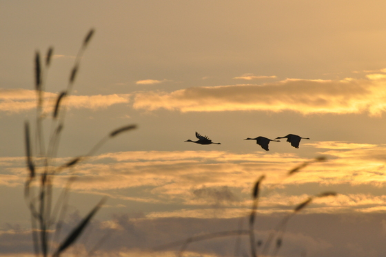 Everglades Nat Park