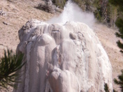 Yellowstone NP
