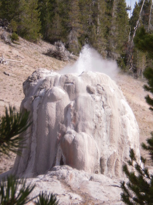 Yellowstone NP
