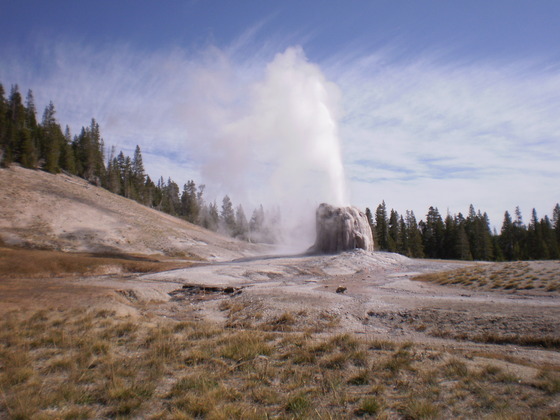 Yellowstone NP