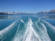 Glacier Bay National Park