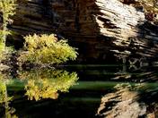 Ouachita National Forest