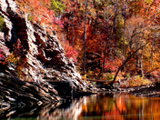 Ouachita National Forest