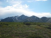 Denali National Park