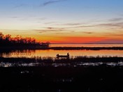 Eastern Neck National Wildlife Refuge