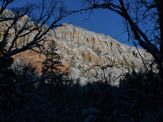 Oak Creek Canyon, Coconino National Forest
