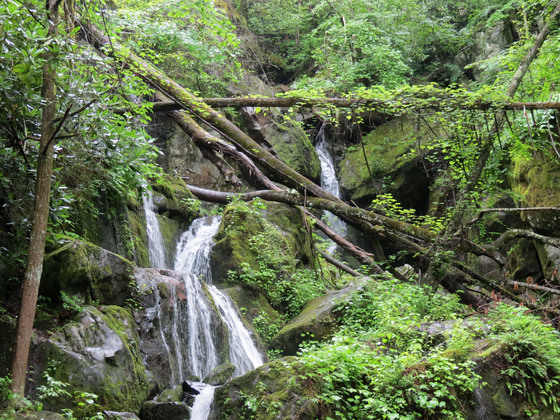 The Great Smokey Moutains National Park