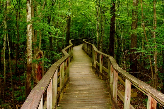 Congaree National Park