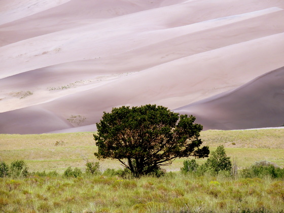 Great Sand Dunes National Park and Preserve