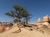 Bryce Canyon National Park
