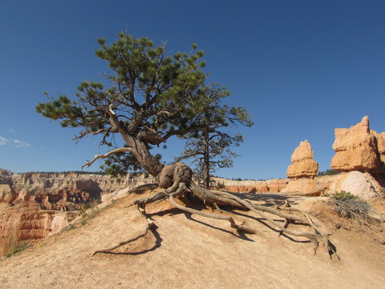 Bryce Canyon National Park