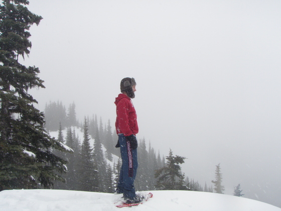 Olympic National Park
