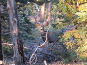 Bryce Canyon