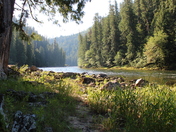Clearwater National Forest
