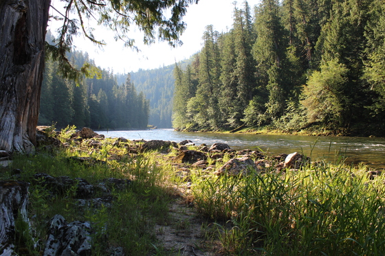 Clearwater National Forest