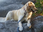 Sunsets In Her 12 Month Old Eyes