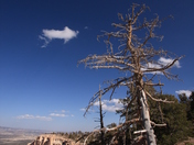 Bryce Canyon National Park