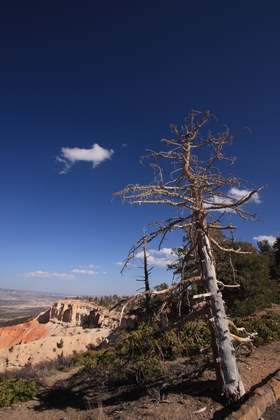 Bryce Canyon National Park