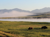 Yellowstone National Park 