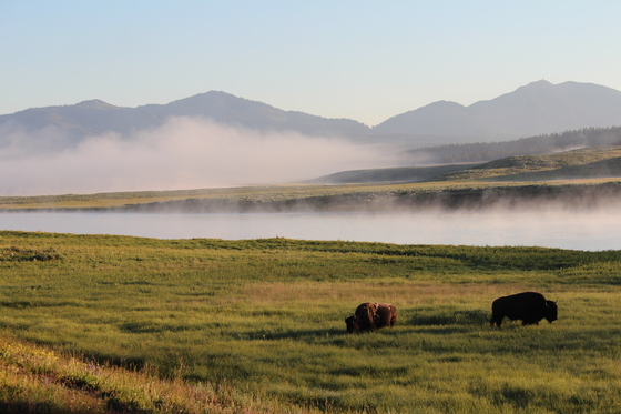 Yellowstone National Park 