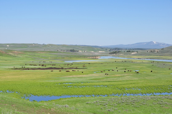 Yellowstone National Park