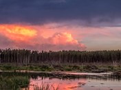 Storming Across the Beaver Pond