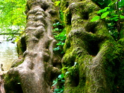 Chattahoochee River National Recreation Area