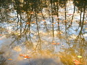Chattahoochee River National Park Service