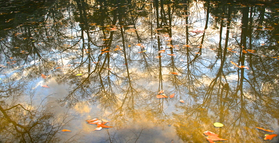 Chattahoochee River National Park Service