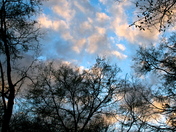 Chattahoochee River National Recreation