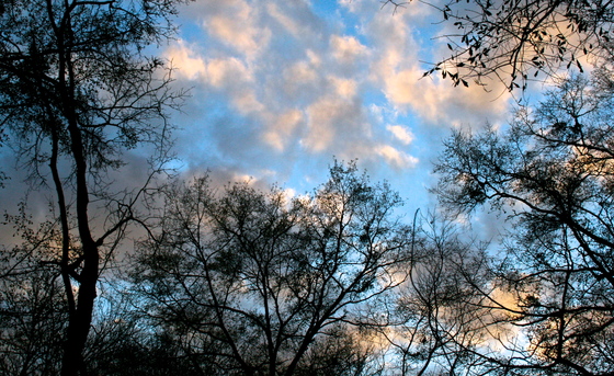 Chattahoochee River National Recreation