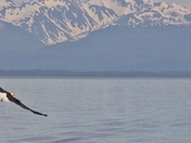 Glacier Bay National Park