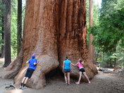 Sequoia National Monument