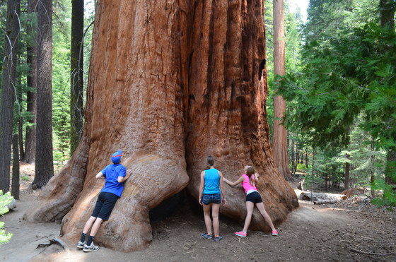 Sequoia National Monument