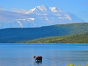 Denali