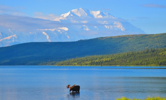 Denali