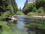 Kings Canyon National Park