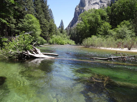 Kings Canyon National Park