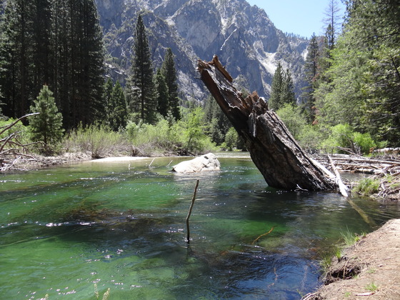 Kings Canyon National Park