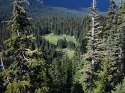 mount rainer / sunrise point 