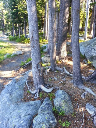 Anthony Lakes