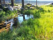 Anthony Lake
