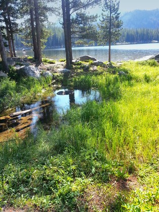 Anthony Lake