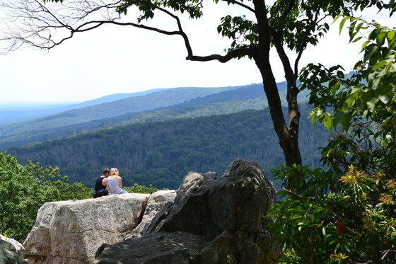 Catocton Mountain Park